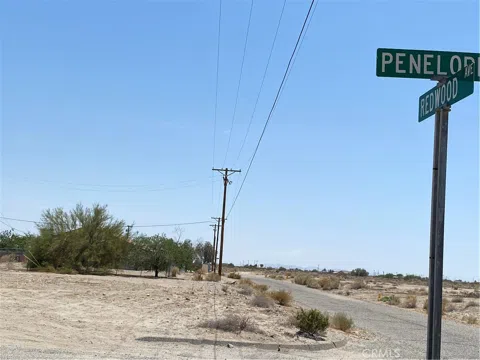Penelope Avenue